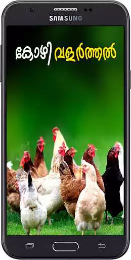 Play Poultry Farming Malayalam