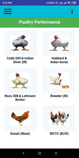 Play Poultry Performance  and enjoy Poultry Performance with UptoPlay
