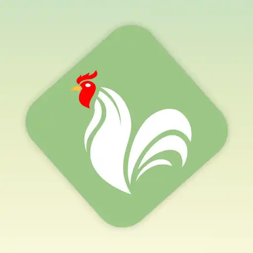 Play Poultry Zippy APK