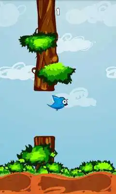 Play Power Bird