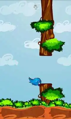 Play Power Bird