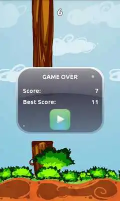 Play Power Bird