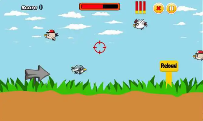 Play Power Flying Bird Shooting
