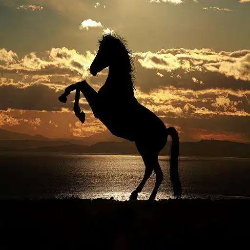 Run free android online Power Horse APK