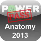 Free play online Powerpass FRCR Anatomy 2013 APK Free play online Powerpass FRCR Anatomy 2013 APK