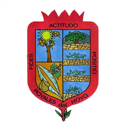 Play Poyales del Hoyo Informa APK Play Poyales del Hoyo Informa APK