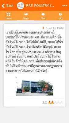 Play PPF Poultry Play PPF Poultry