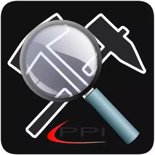 Play PPI Inspection APK