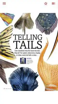 Play Practical Fish Keeping Magazine