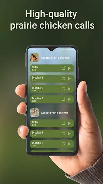 Play Prairie chicken hunting calls  and enjoy Prairie chicken hunting calls with UptoPlay