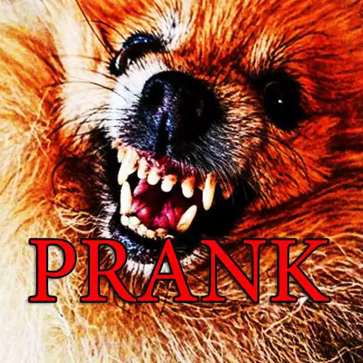 Free play online Prank Angry Dog APK Free play online Prank Angry Dog APK