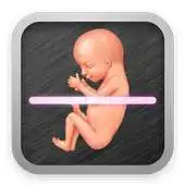 Free play online Prank Pregnancy Detector APK