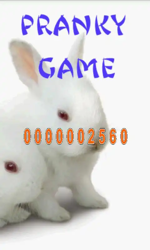 Play Pranky Game