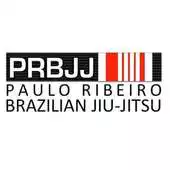 Free play online PRBJJ Team App APK Free play online PRBJJ Team App APK