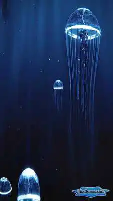 Play Precious Jellyfish 3D Hovering Under Deep Blue Sea