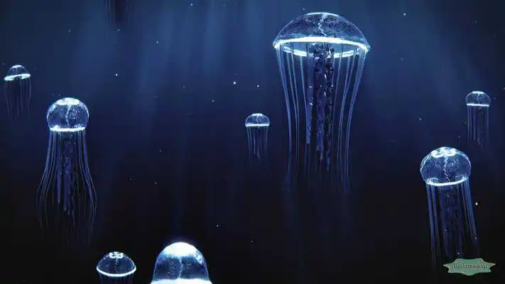 Play Precious Jellyfish 3D Hovering Under Deep Blue Sea