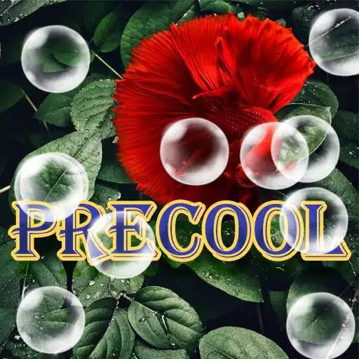 Play precool APK