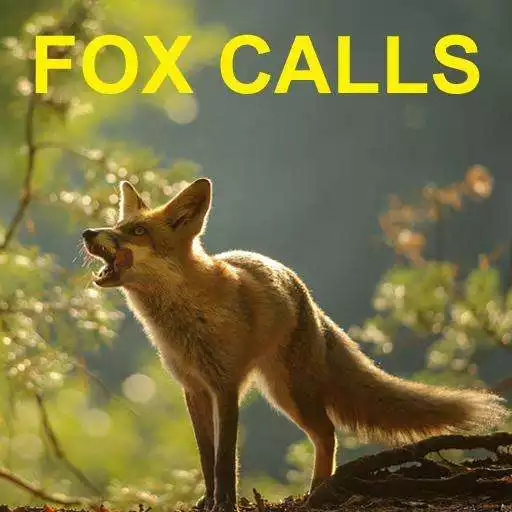 Free play online Predator Calls -Fox Hunting AU APK