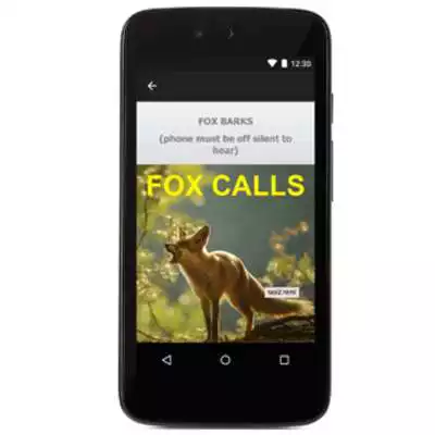 Play Predator Calls -Fox Hunting AU Play Predator Calls -Fox Hunting AU