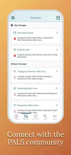 Play Pregnancy After Loss App as an online game Pregnancy After Loss App with UptoPlay