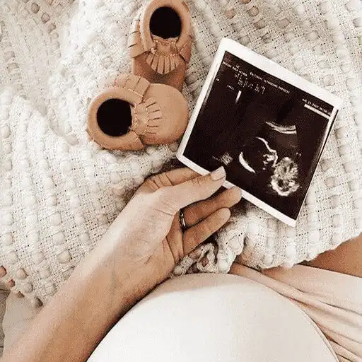 Play Pregnancy and ovulation cal APK