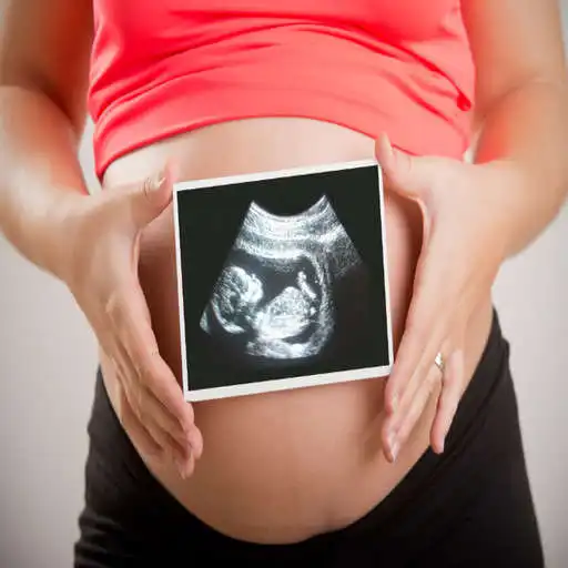 Play Pregnancy and ultrasound guide APK