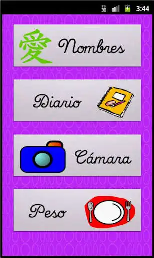 Play Pregnancy app LITE as an online game Pregnancy app LITE with UptoPlay
