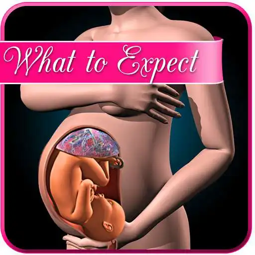 Play Pregnancy app : weekly expectations APK
