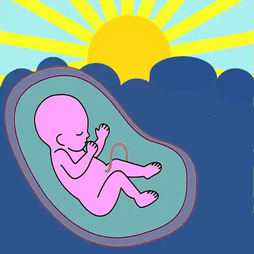 Run free android online Pregnancy Assistant APK