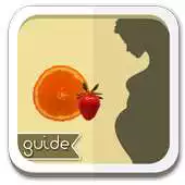Free play online Pregnancy Diet Plan Guide APK