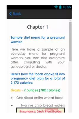 Play Pregnancy Diet Plan Guide Play Pregnancy Diet Plan Guide