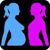 Free play online Pregnancy Diet Quick Guide APK
