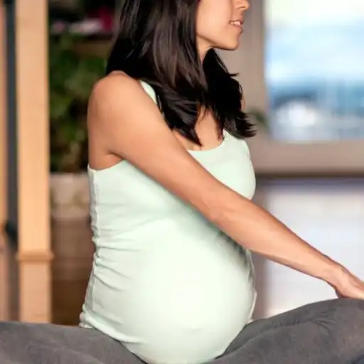 Play Pregnancy Exercise - Fit Mom APK