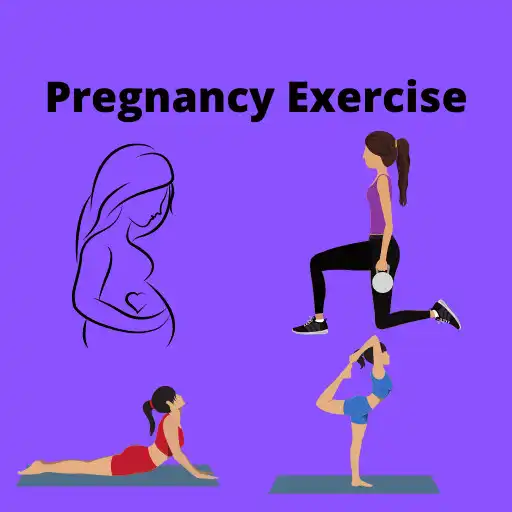 Play Pregnancy Exercise Workouts APK Play Pregnancy Exercise Workouts APK