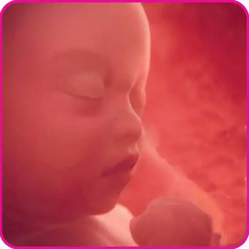 Play Pregnancy Friend App APK