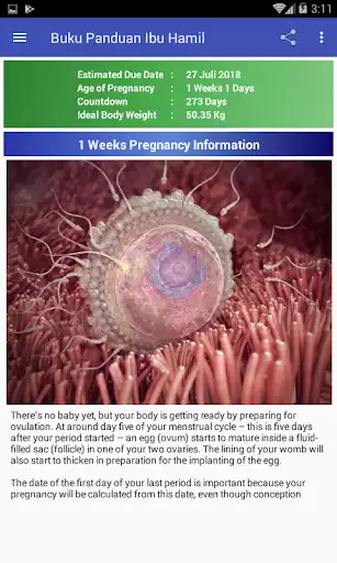 Play Pregnancy Guide