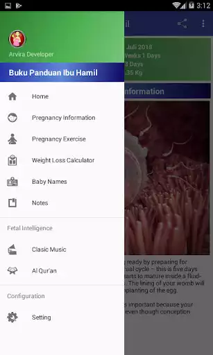 Play Pregnancy Guide