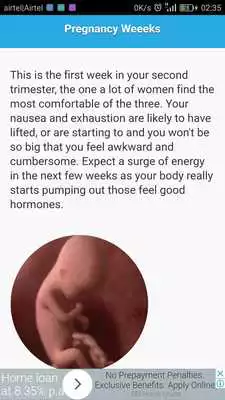 Play Pregnancy Guide