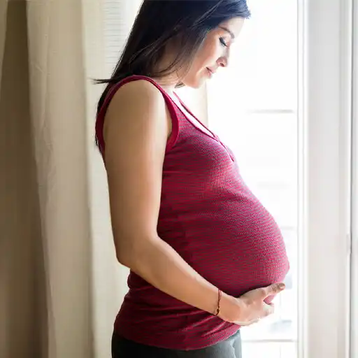 Play Pregnancy  Maternity Shopping APK