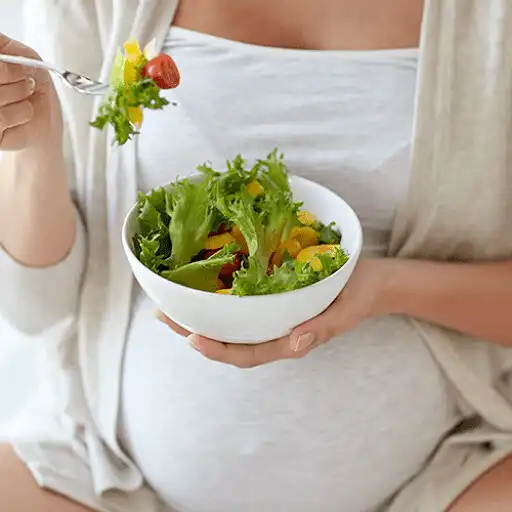 Play pregnancy nutrition APK