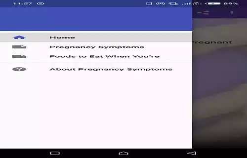 Play Pregnancy Symptoms
