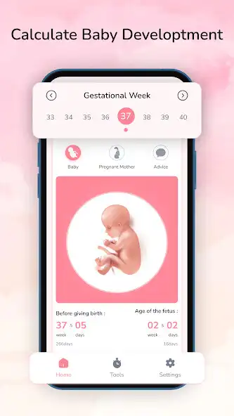 Play Pregnancy Tracker: Baby Growth as an online game Pregnancy Tracker: Baby Growth with UptoPlay