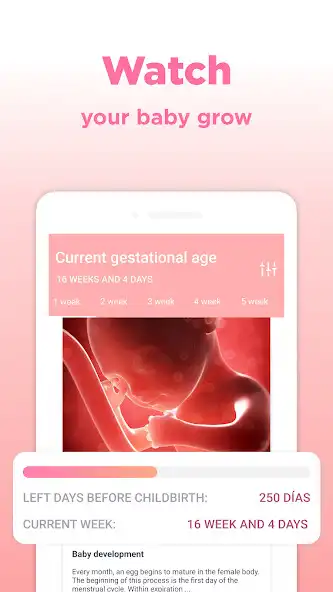 Play Pregnancy Tracker - Baby Guide as an online game Pregnancy Tracker - Baby Guide with UptoPlay