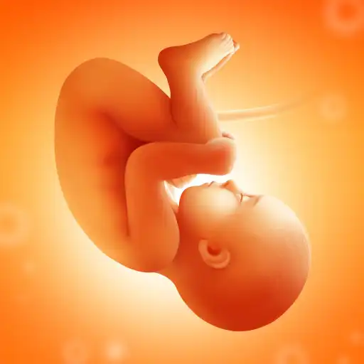 Play Pregnancy Tracker week by week APK Play Pregnancy Tracker week by week APK