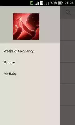 Play Pregnancy week by week. Expecting baby. Diary