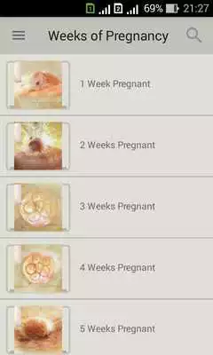 Play Pregnancy week by week. Expecting baby. Diary