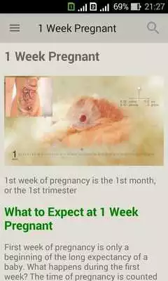 Play Pregnancy week by week. Expecting baby. Diary