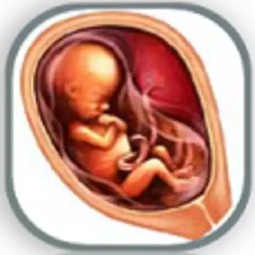 Run free android online Pregnancy Week By Week APK