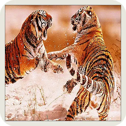 Play prehistoric animal documentaries APK