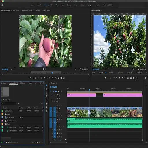 Play Premiere Pro Course APK Play Premiere Pro Course APK